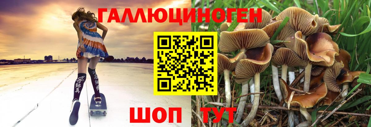 Галлюциногенные грибы прущие грибы Кемерово