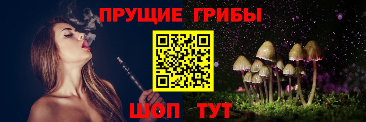 Кемерово  Галлюциногенные грибы Psilocybe  Псилоцибиновые грибы GOLDEN TEACHER  Вход с VPN 